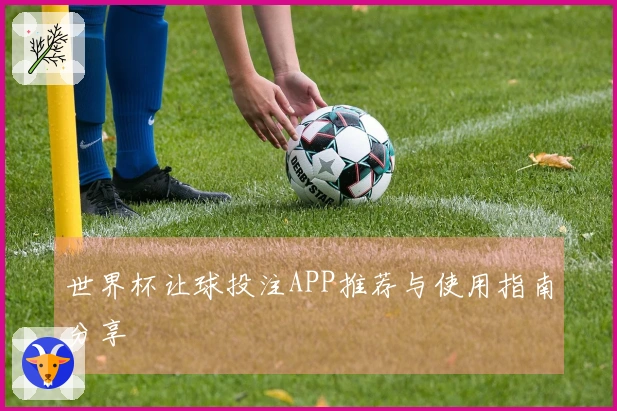 世界杯让球投注APP推荐与使用指南分享