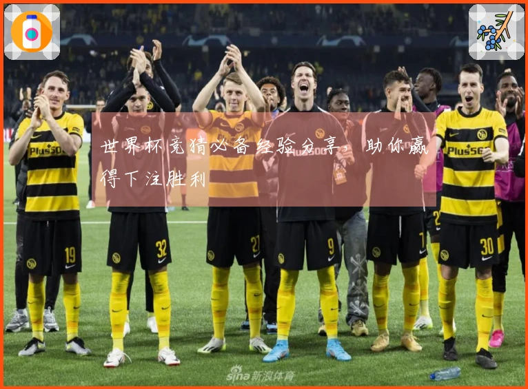 世界杯竞猜必备经验分享，助你赢得下注胜利
