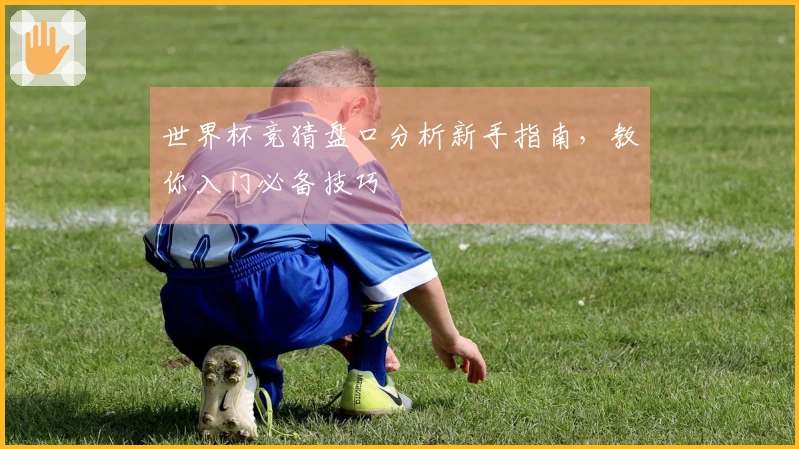 世界杯竞猜盘口分析新手指南，教你入门必备技巧