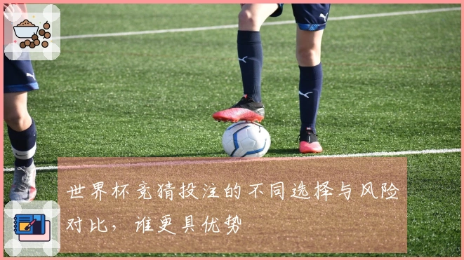 世界杯竞猜投注的不同选择与风险对比，谁更具优势
