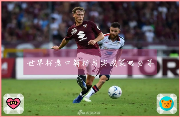 世界杯盘口解析与实战策略分享