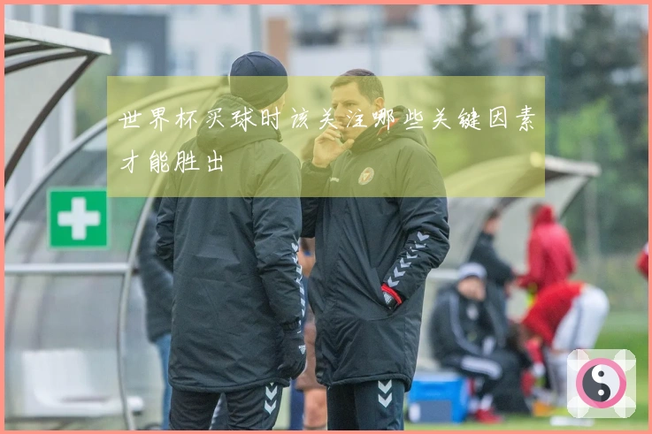 世界杯买球时该关注哪些关键因素才能胜出
