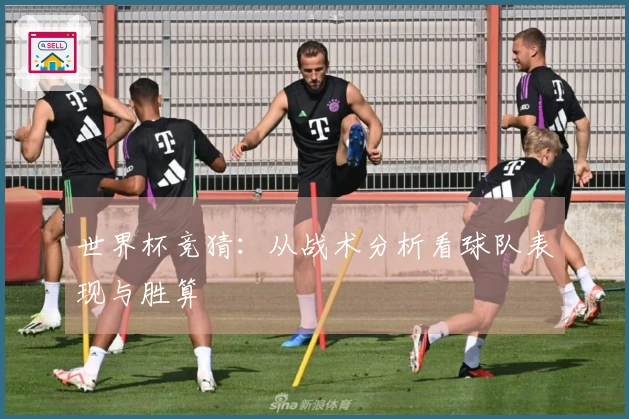 世界杯竞猜：从战术分析看球队表现与胜算