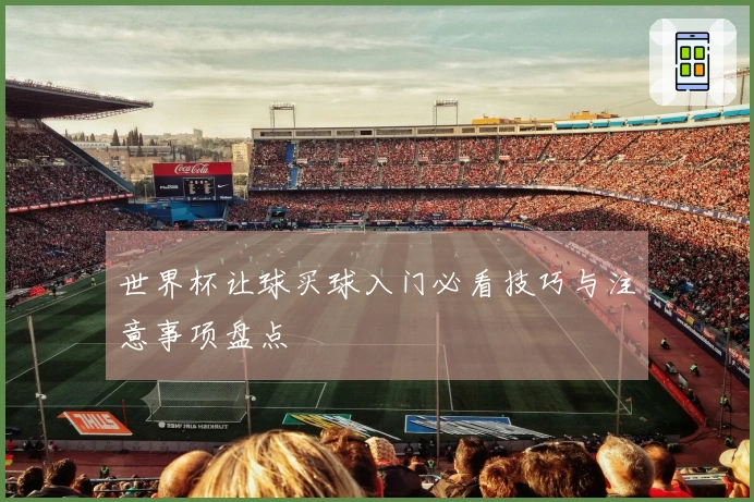世界杯让球买球入门必看技巧与注意事项盘点