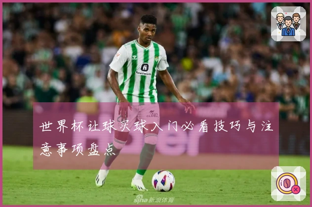 世界杯让球买球入门必看技巧与注意事项盘点
