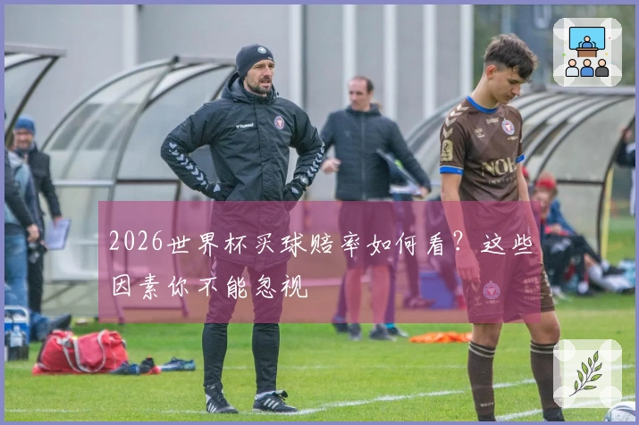 2026世界杯买球赔率如何看？这些因素你不能忽视