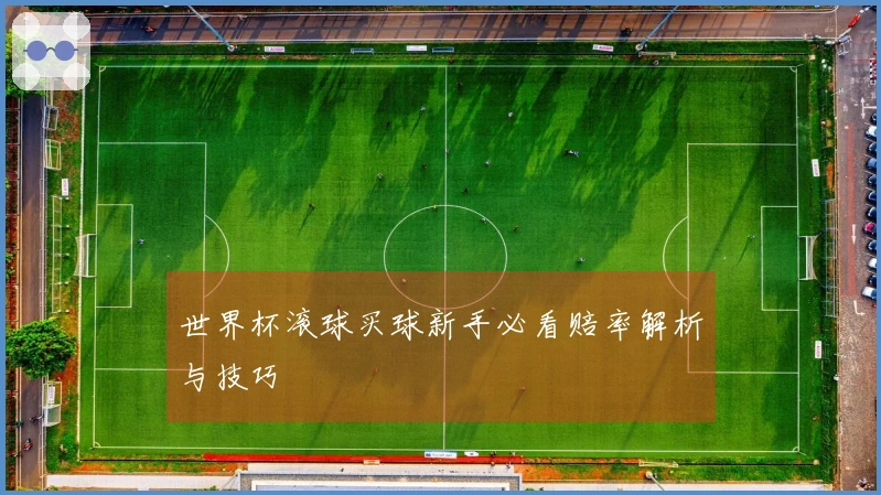 世界杯滚球买球新手必看赔率解析与技巧